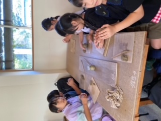 image10.jpeg