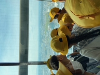 image4.jpeg