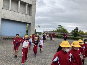image_50418689