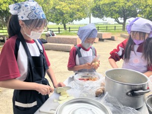 image_50436609