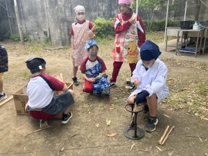 image_50456321