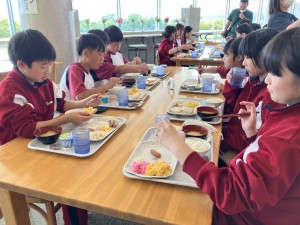 image_50729473