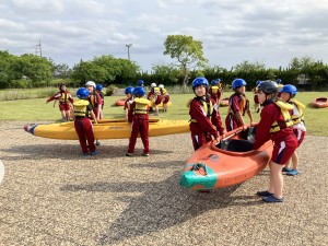 image_50753281