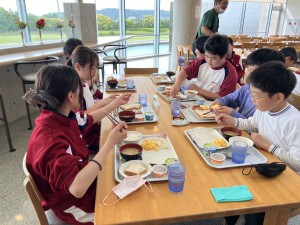 image_50770433
