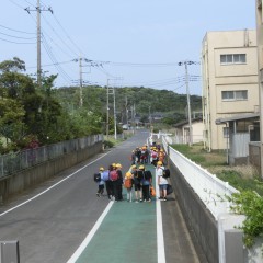 CIMG4250