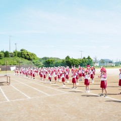 P5281538