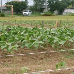 CIMG5558