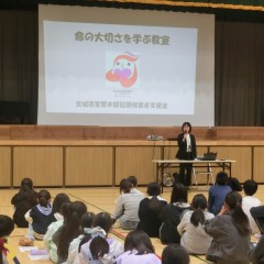 CIMG6557