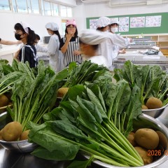 DSC07703