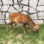 CEEB8C3A-0715-4A5A-AF7B-260312AE6692