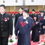 IMG_2988 IMG_2988
