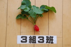 ３組３班