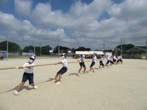 IMG_4199