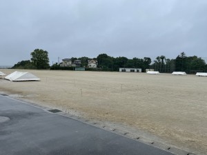 IMG_1655
