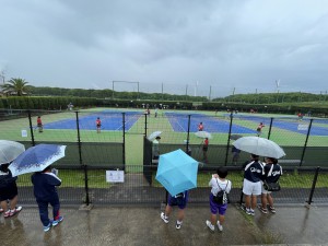 IMG_2088 IMG_2088