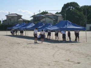 IMG_3231