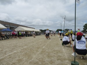 IMG_4639
