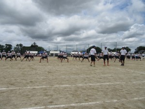 IMG_4685