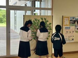 IMG_0029 IMG_0029