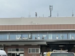 IMG_1039