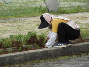 DSCN2225