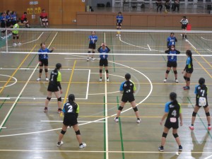 IMG_2558