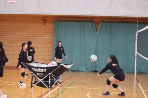 IMG_0448