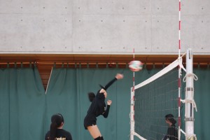 IMG_0463