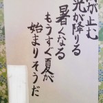 PICT0013