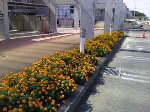 PICT0001