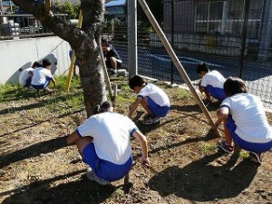 P1060344 今日の奉仕作業(2年生と5年生) カマを使っての作業