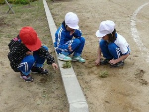 P1060492 今日は1年生だけで奉仕活動\\