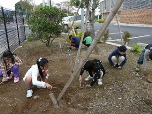 P1070158 今日の奉仕作業:3・4年生\