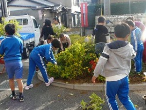 P1070314 今日も引き続き花壇の模様替え:3・4年生\\\