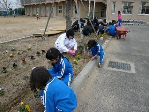 P1080721 朝の奉仕作業:1年生・6年生 草抜き作業