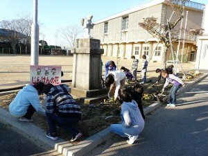 P1090193 朝の奉仕活動(2年生・5年生) 草抜きや砂取り作業