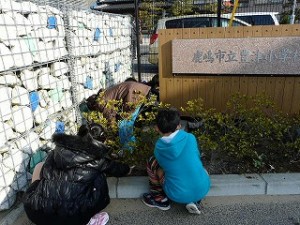 P1090897 校門前の草抜き作業