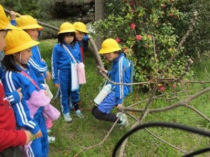 IMG_0206 道なき道を・・・・