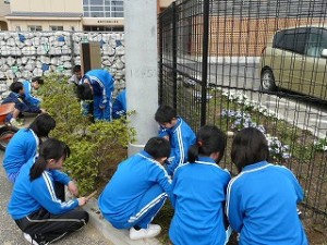 P1100368 朝の奉仕活動:6年生\