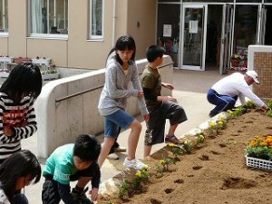 P1100635 奉仕活動 花壇の植え替え作業
