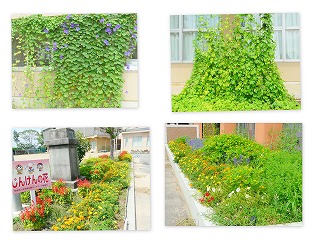 2012813 大きくなりましたが、草もだいぶ・・・・