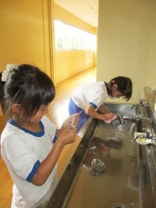 IMG_0988 IMG_0988