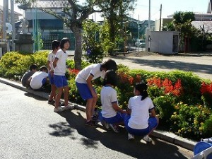 P1120270 奉仕活動 6年生\