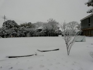 P1140344 朝の様子\