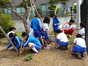 P1160012 奉仕活動の様子\