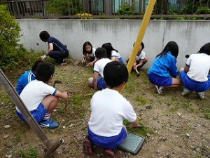P1160022 今日の奉仕活動 4年生\