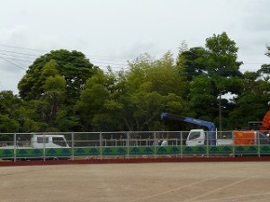 P1160519 遊具が撤去されました。\