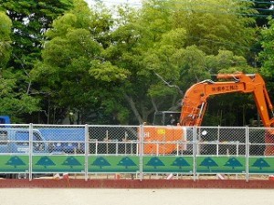 P1160556 移植作業