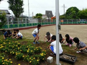 P1160560 朝の奉仕活動 4年生\