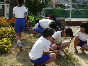 P1160654 朝の奉仕活動 4年生\